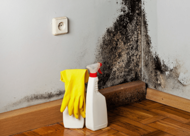 В данной статье мы рассмотрим, как эффективно удалить плесень в квартире с помощью клининговых услуг в Санкт-Петербурге. Вы узнаете о причинах появ...