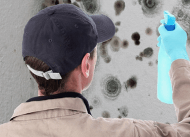 В данной статье мы рассмотрим эффективные методы обработки от плесени в Нижнем Новгороде, а также способы предотвращения ее появления. Вы узнаете, ...