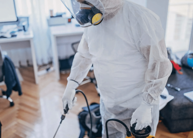 В данной статье мы рассмотрим, как избавиться от трупного запаха в доме, используя различные методы и советы. Вы узнаете о причинах появления запах...