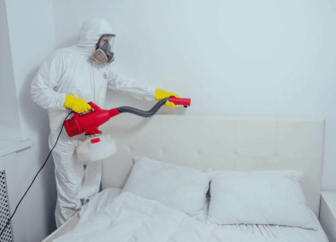 В данной статье мы рассмотрим проблему клопов на станции метро Обводный канал и предложим эффективные методы их уничтожения. Вы узнаете о причинах ...