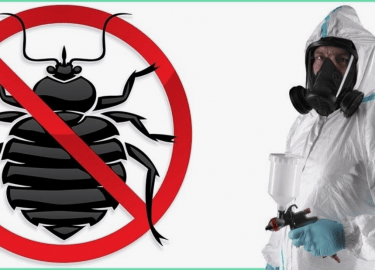 В этой статье мы расскажем о методах дератизации, которые предлагает наша компания ДезКлопик, а также о том, как правильно выбрать услуги по травле...