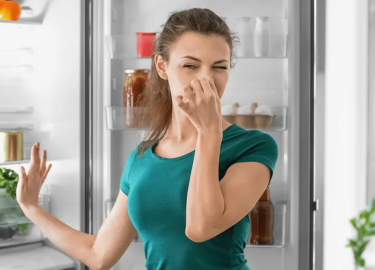 В данной статье мы рассмотрим эффективные методы устранения запахов в Екатеринбурге. Вы узнаете о профессиональных услугах, а также о простых домаш...