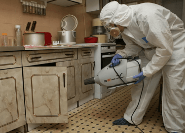 Тараканы &mdash; это не только неприятные насекомые, но и потенциальные переносчики различных заболеваний. Их появление в доме может вызвать не тол...