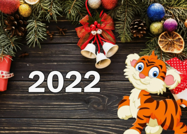 В этой статье мы расскажем о наших достижениях в 2021 году, о том, как мы помогли многим людям, и о праздничных скидках на наши услуги. Мы рады пре...