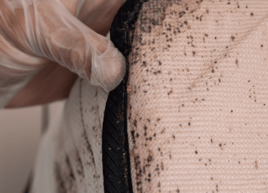 В данной статье мы рассмотрим, как СЭС (Служба Экологической Безопасности) может помочь в решении этой проблемы, а также предоставим полезные совет...