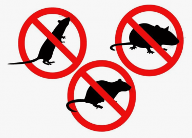 В этой статье мы рассмотрим, как эффективно провести дератизацию, чтобы обеспечить безопасность Вашего жилья и предотвратить повторное появление вр...