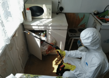 Клопы &mdash; это маленькие, но крайне неприятные существа, которые могут стать настоящей проблемой для любого дома. Их появление часто вызывает па...