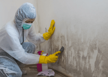 В этой статье мы рассмотрим основные причины появления плесени, а также эффективные методы ее удаления и профилактики. Вы узнаете, как защитить сво...