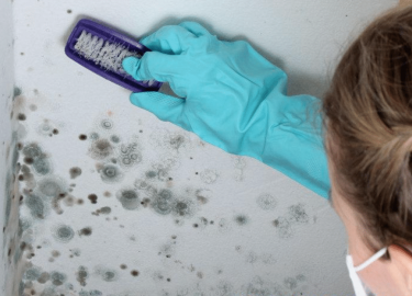 В данной статье мы рассмотрим причины появления плесени, эффективные методы борьбы с ней и советы по профилактике. Вы узнаете, как сохранить Вашу в...