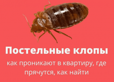 В данной статье мы подробно рассмотрим эти вопросы, а также предложим эффективные методы борьбы с клопами. Если Вы столкнулись с этой проблемой, не...