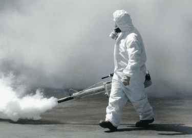 В данной статье мы рассмотрим услуги фумигации в Москве, их необходимость и особенности проведения. Вы узнаете, когда стоит прибегать к фумигации, ...