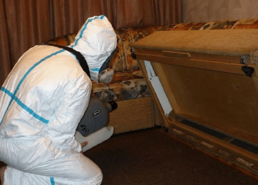 Постельные клопы &mdash; это не только неприятные соседи, но и серьезная проблема для многих жителей Санкт-Петербурга. Эти маленькие насекомые могу...