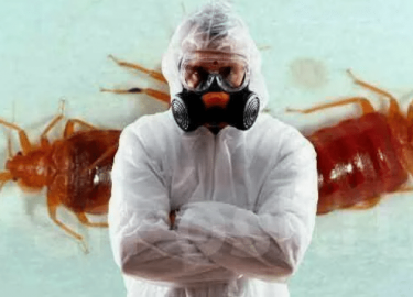 В этой статье мы подробно рассмотрим, как эффективно избавиться от клопов, какие методы существуют и как предотвратить их повторное появление. Мы т...