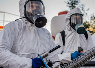 В данной статье мы подробно рассмотрим услуги санитарной службы метро Спасская, их важность и эффективность в борьбе с вредителями. Вы узнаете, как...