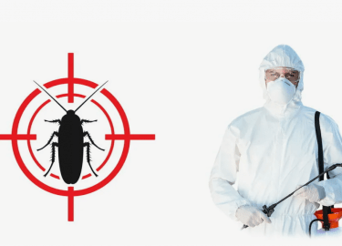 В данной статье мы рассмотрим эффективные методы уничтожения тараканов в общественных местах Челябинска. Вы узнаете о причинах появления этих насек...