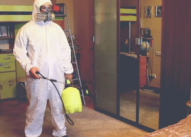 В этой статье мы подробно рассмотрим, как эффективно избавиться от клопов, какие методы существуют и почему стоит обратиться к профессионалам. Мы т...