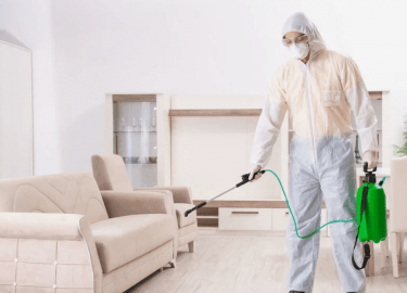 В данной статье мы рассмотрим услуги по уничтожению клопов в районе метро Лиговский проспект. Вы узнаете о проблемах, связанных с появлением клопов...