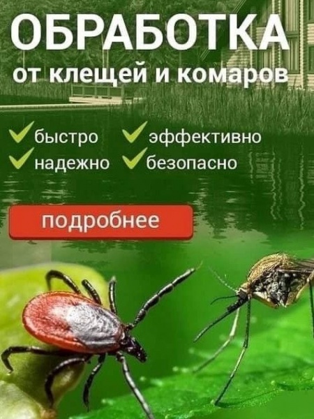 уничтожение вредителей 