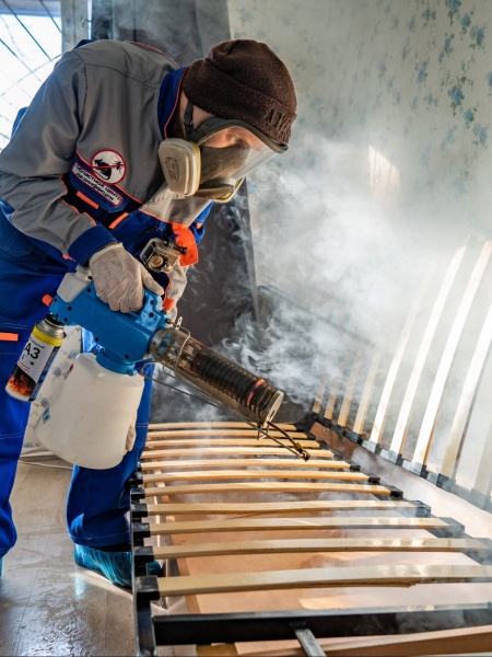 бесплатная обработка квартиры