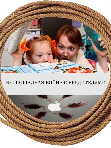 обработка от насекомых в квартире