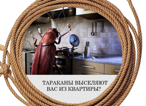 обработка от тараканов в квартире