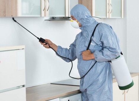 Защита квартиры от клопов