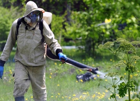 Уничтожения сорняков