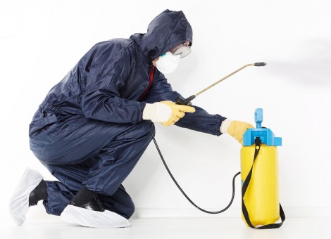 Дезинсекция от тараканов 