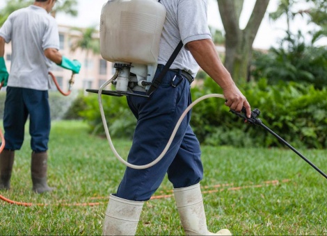 Когда начинается сезон клещей?