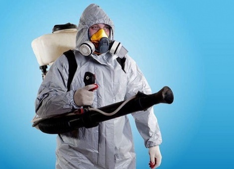 Санитарная служба «ДезКлопик»