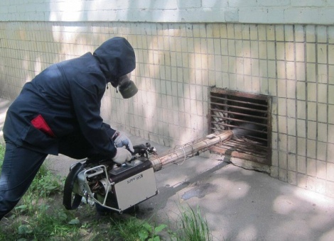 Дератизация помещений в СПб