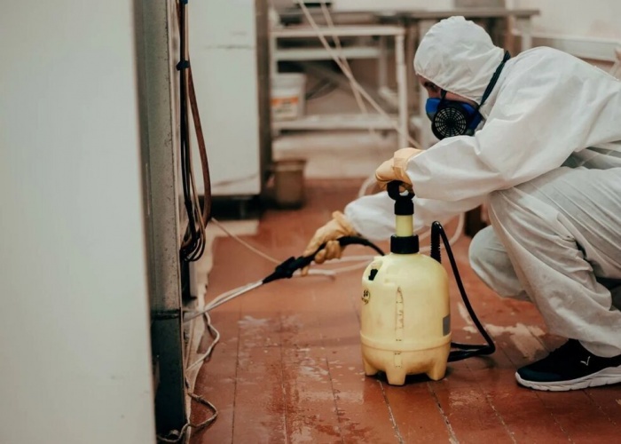 Дезинфекция клопов