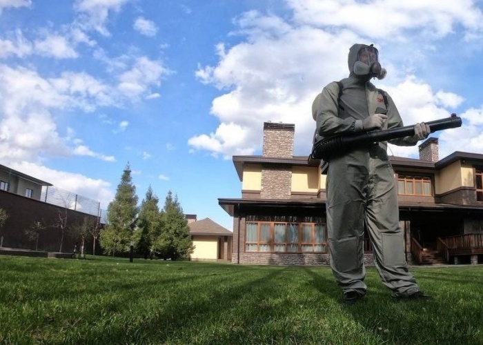 заказать обработку от клопов спб