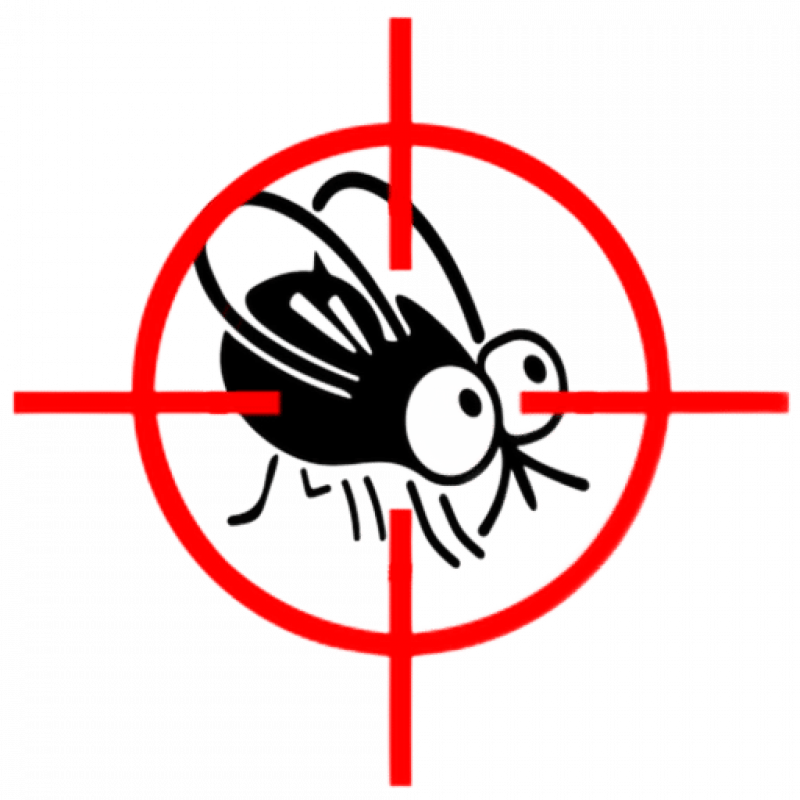 Уничтожение мух в Санкт-Петербурге