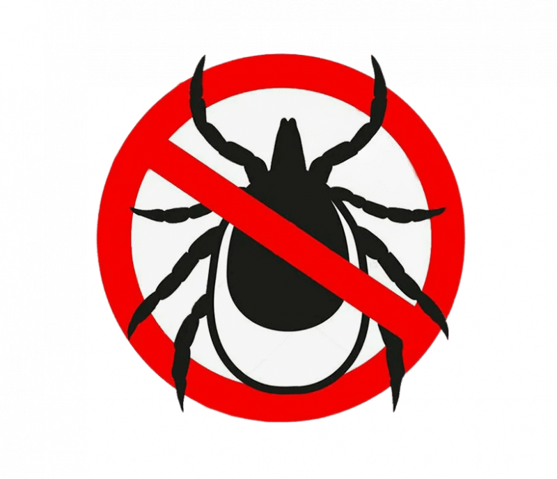 Уничтожение клещей в Санкт-Петербурге