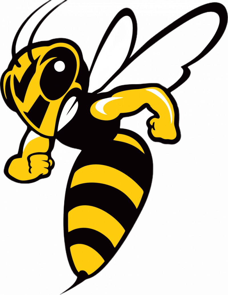 Уничтожение ос в Санкт-Петербурге