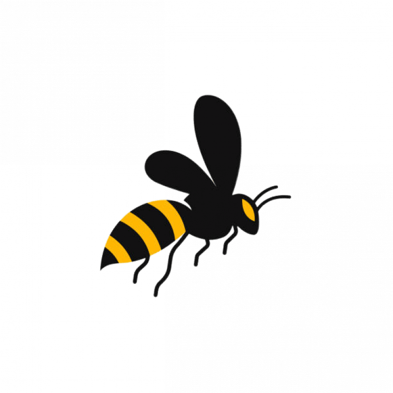 Уничтожение ос в Москве