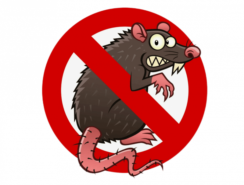 Уничтожение крыс и мышей в Москве