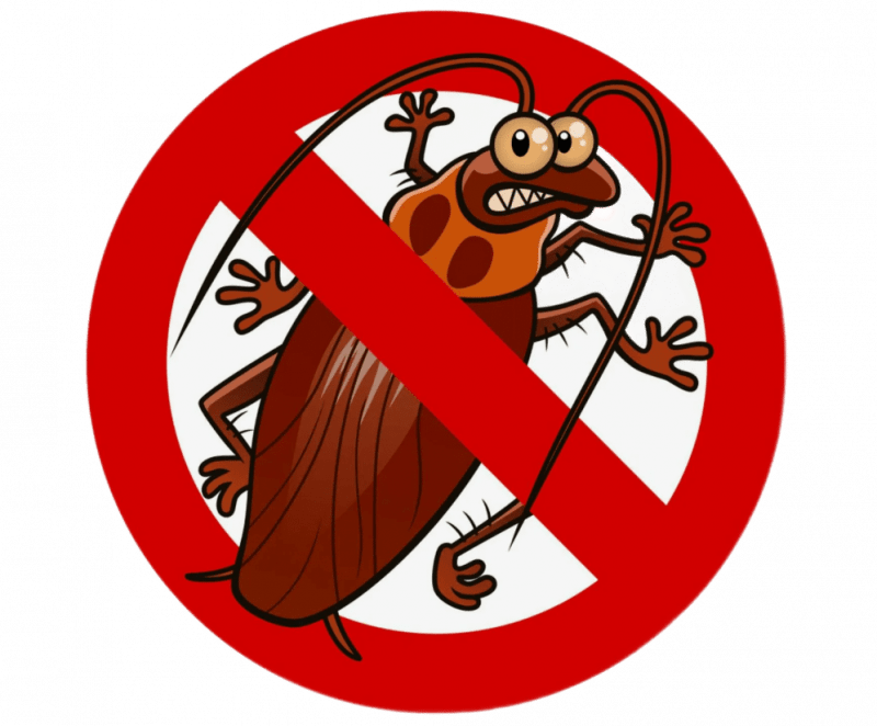 Уничтожение тараканов в Москве