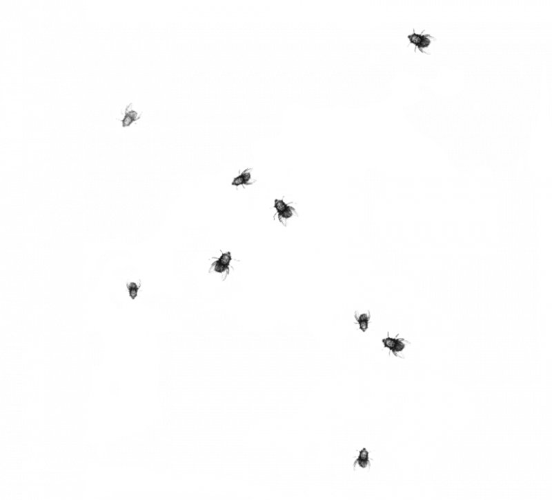 Уничтожение мошек в Москве