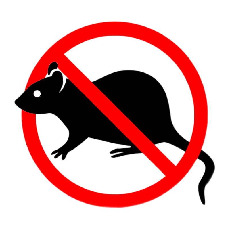 Уничтожение крыс и мышей в Санкт-Петербурге