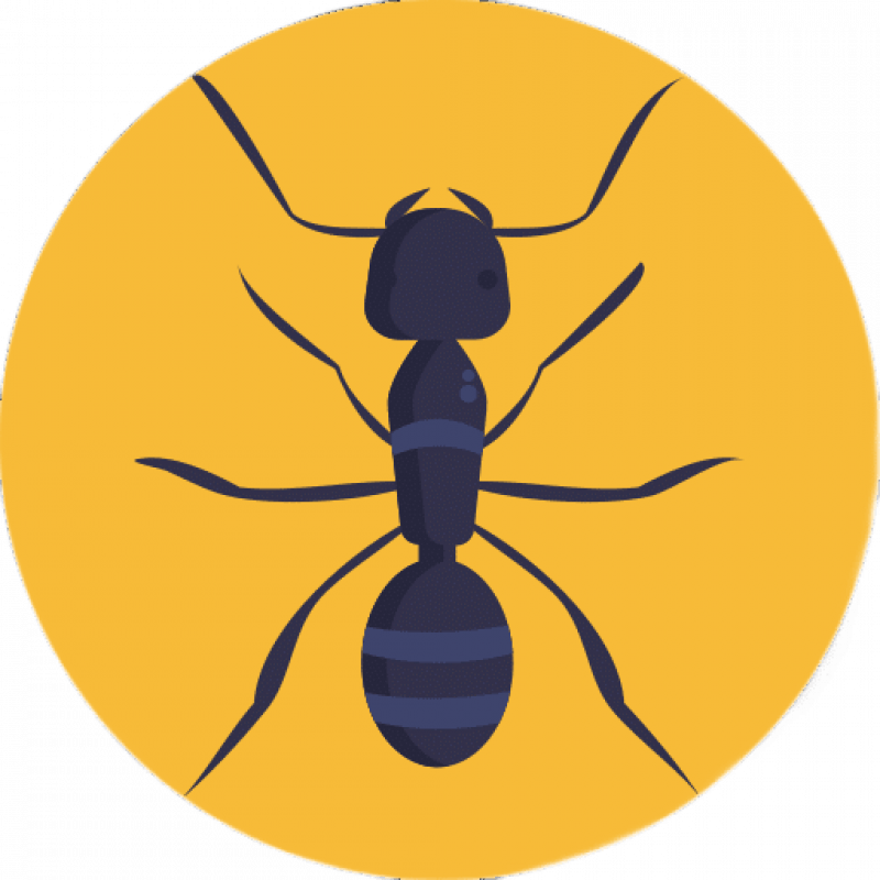 Уничтожение муравьев в Санкт-Петербурге