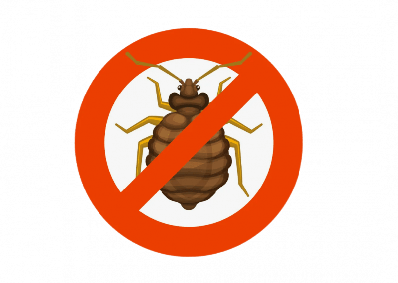 Уничтожение клопов в Москве