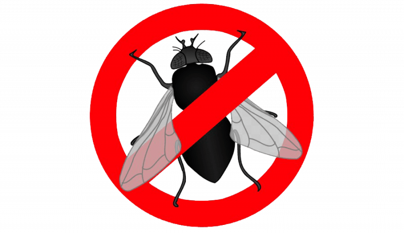 Уничтожение мух в Москве