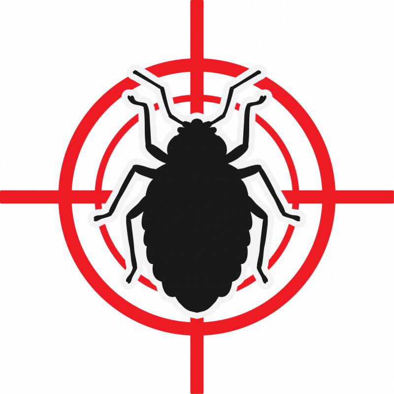 Уничтожение клопов в Санкт-Петербурге