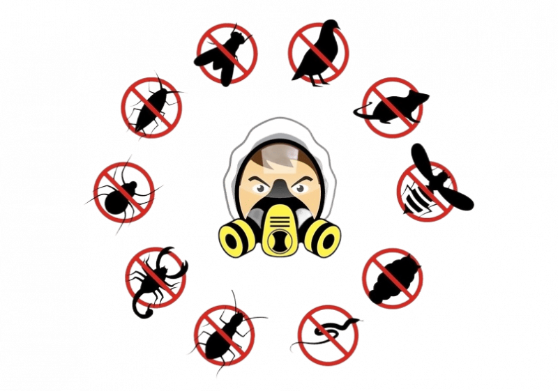 Дезинсекция в Санкт-Петербурге